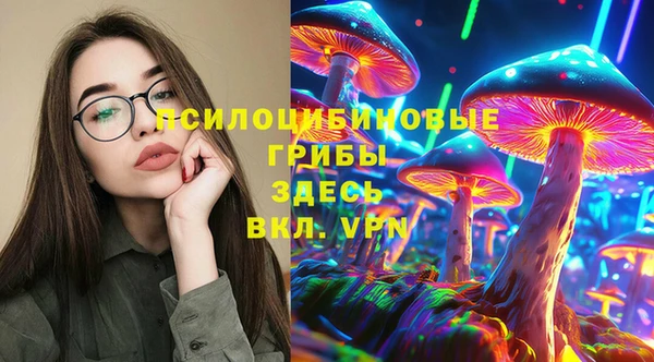 твердый Алзамай