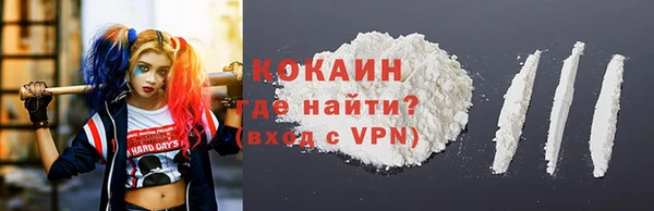 гашик Алексеевка